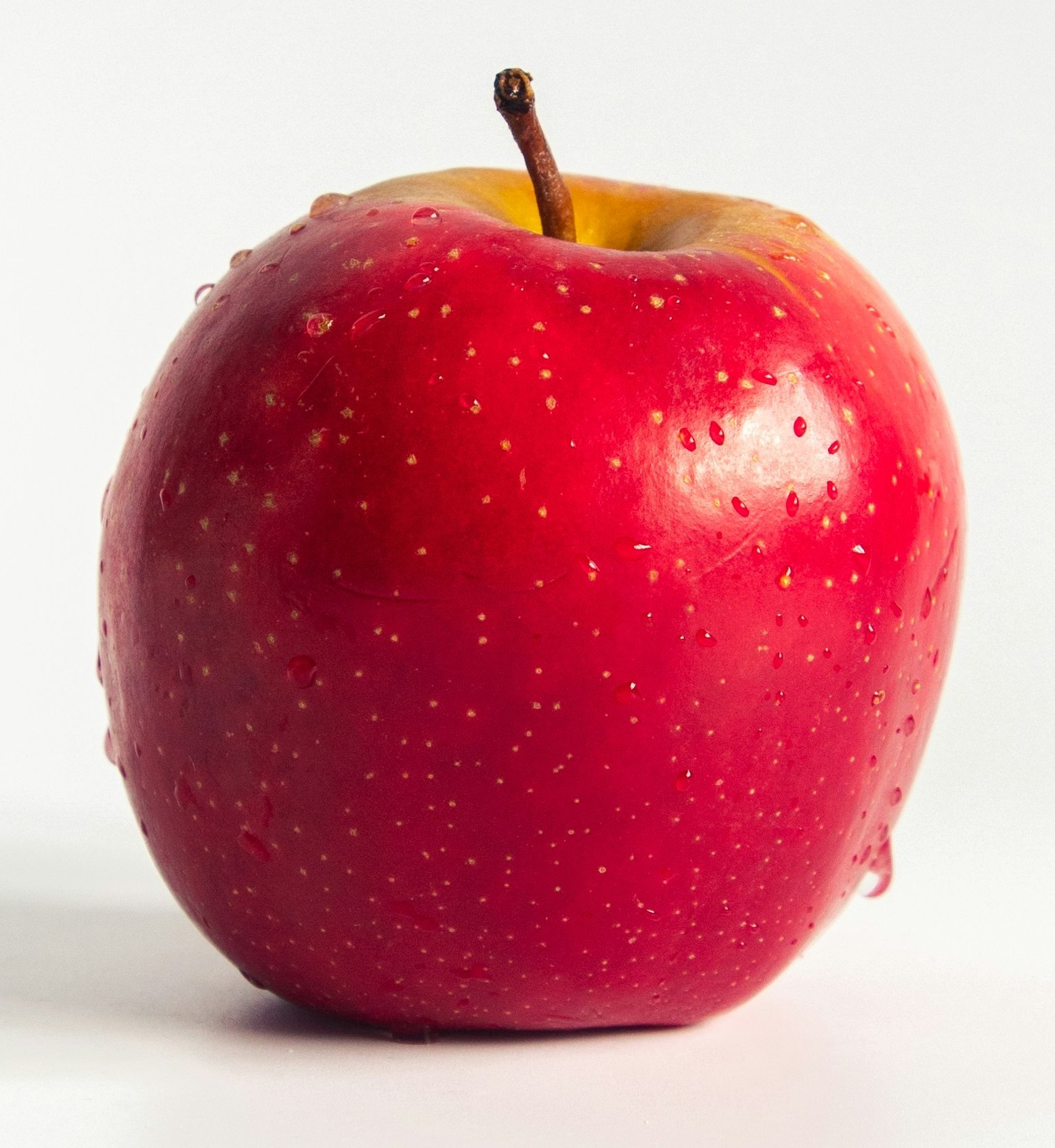 apple2 copy